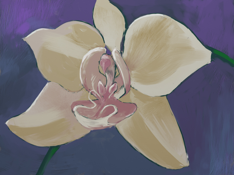 orchid_b_small.jpg