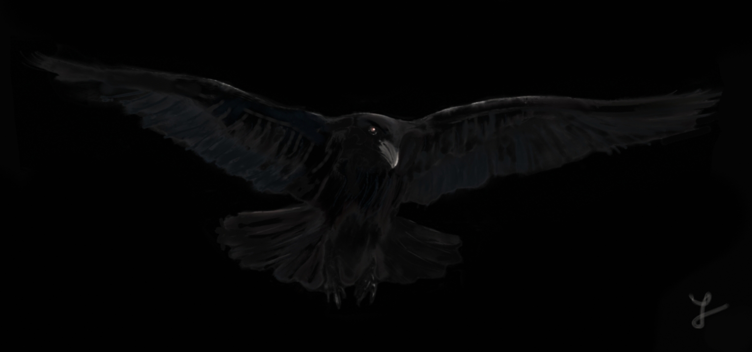 raven.jpg