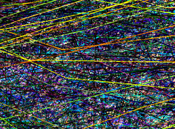 MonsterPollock_100percent.jpg