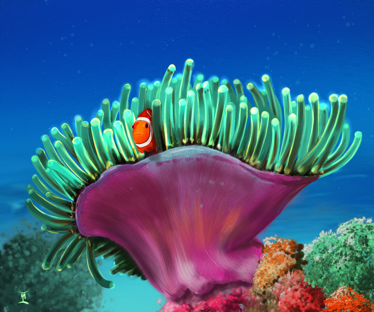 Coral-web.jpg