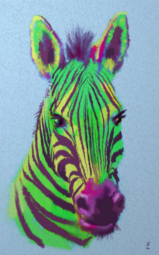Zebra-Aqua.jpg