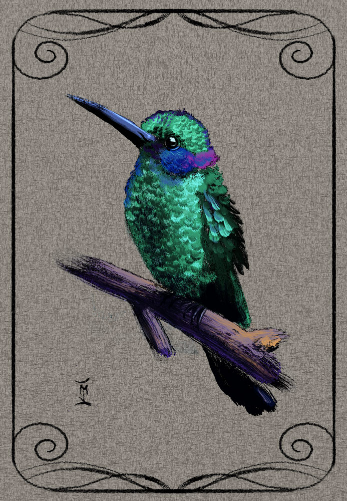 Colibri1.jpg