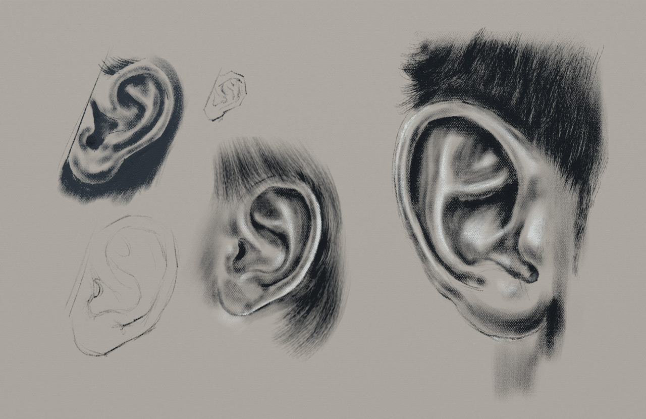Ears.jpg