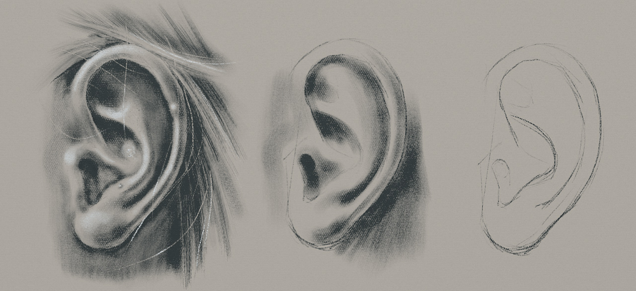 Ear2.jpg