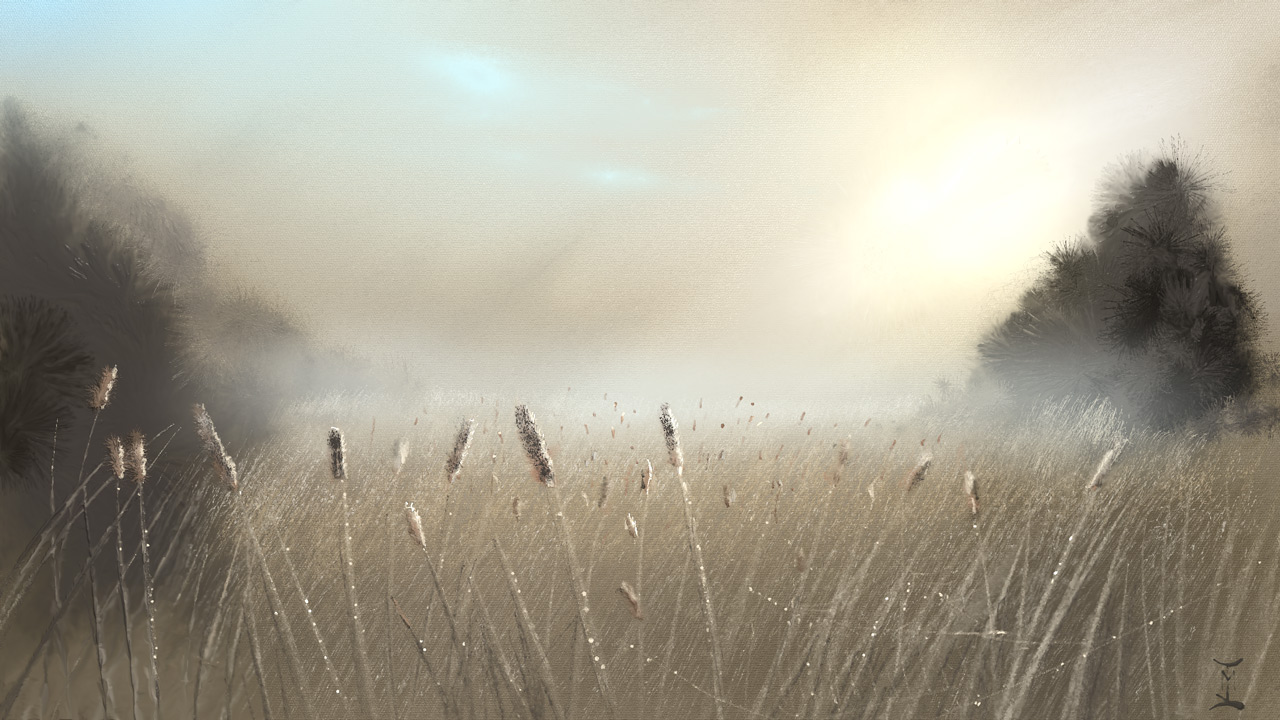 Morning-at-the-river.jpg