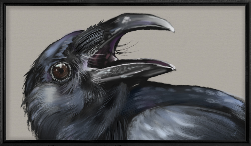 Raven2CU.jpg