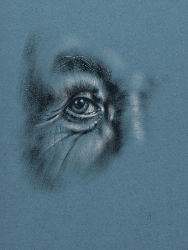 Eye_Practise.jpg