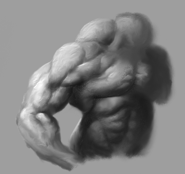 muscles001.jpg