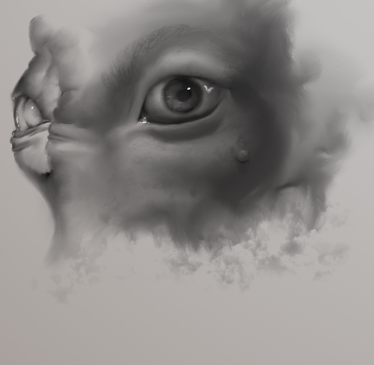 FacialAbstract004.jpg