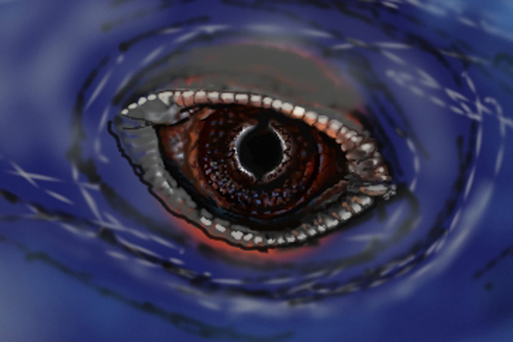 Iguana582014close up eye for Forum.jpg
