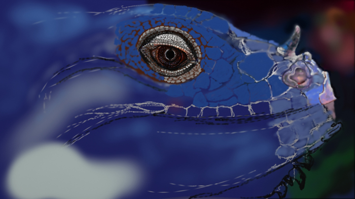 Iguana5102014.jpg