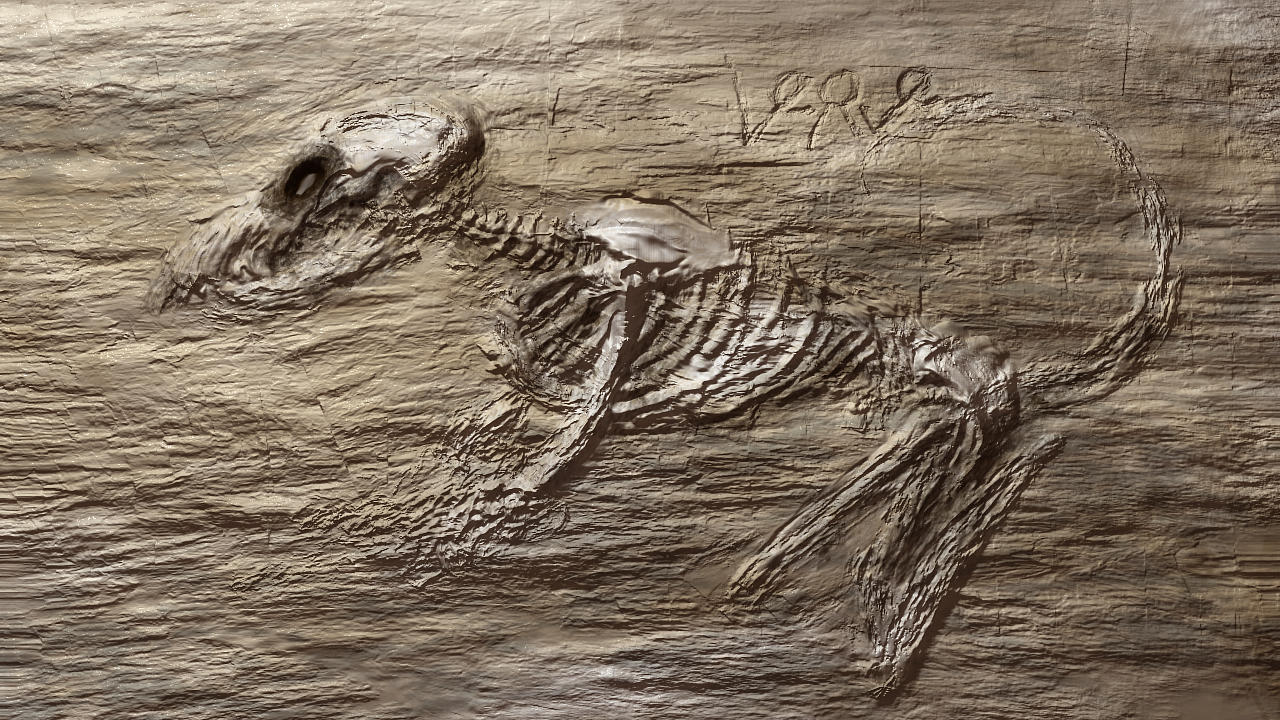 fossil001b.jpg