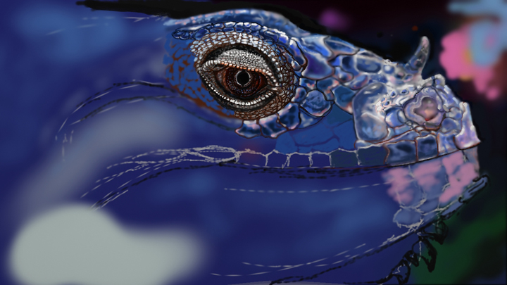 ForumIguana5182014.jpg