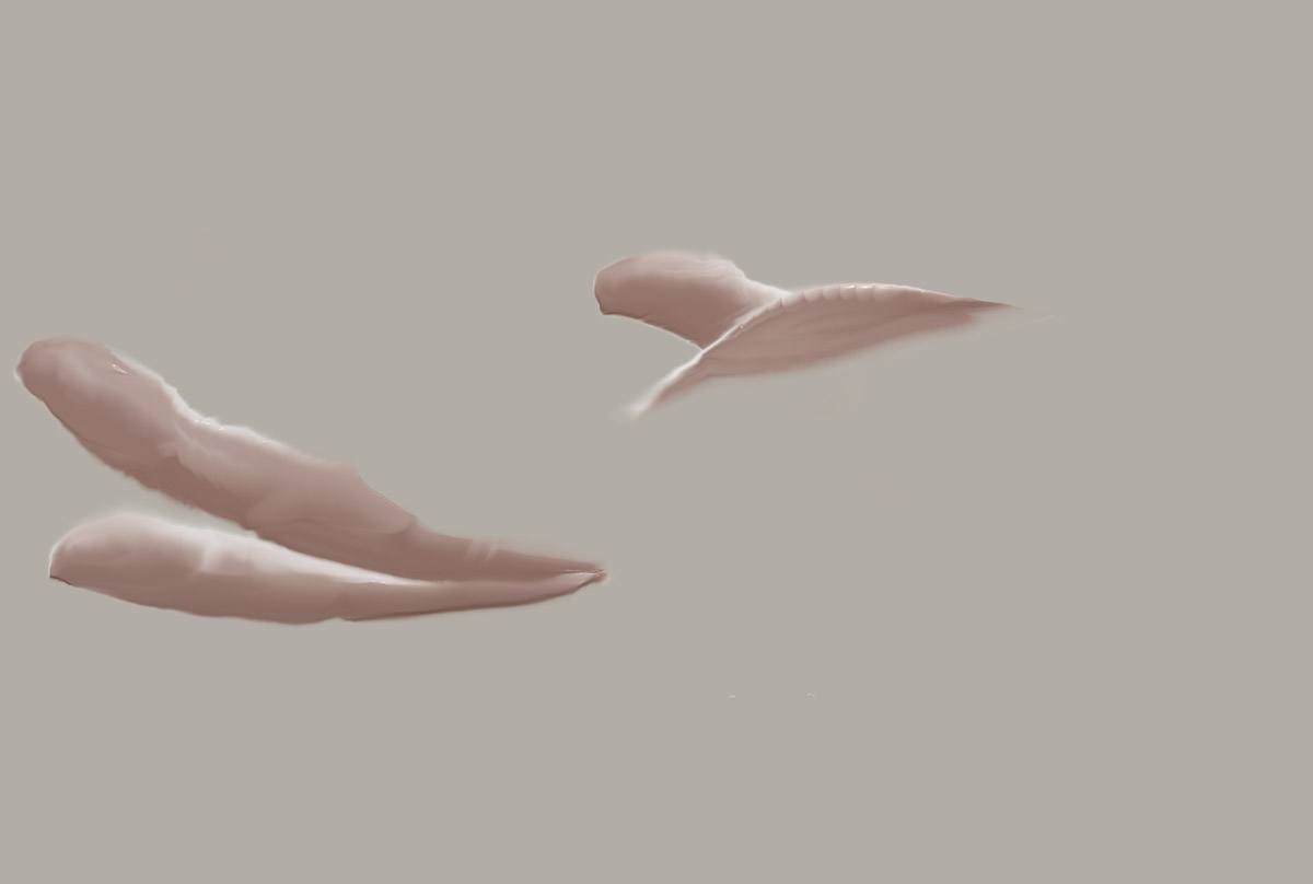 hand ref 55 0.jpg