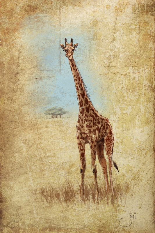 Giraffe.jpg