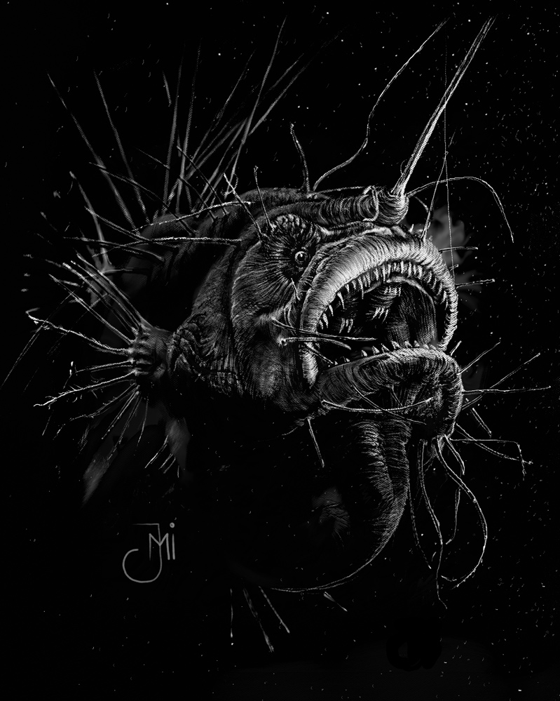 Anglerfish8_Fin_Web.jpg