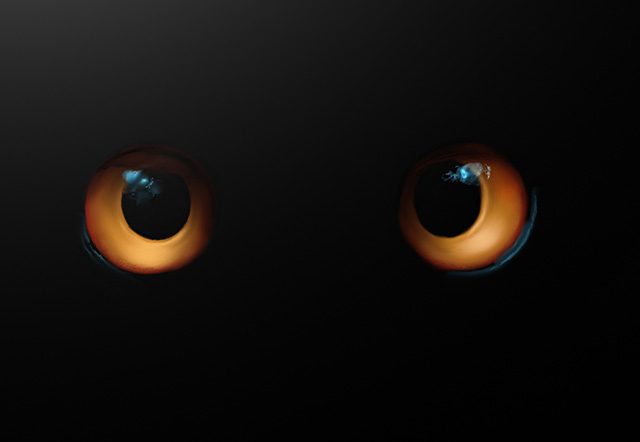 owl_step05.jpg