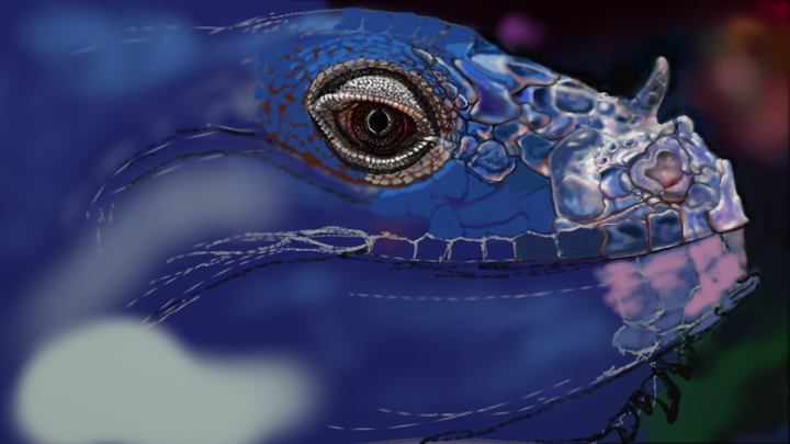 ForumIguana5162014.jpg