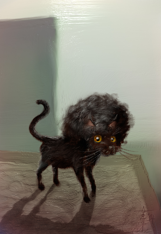 DS#000015-AfroCat.jpg