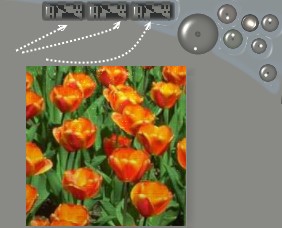 button.jpg