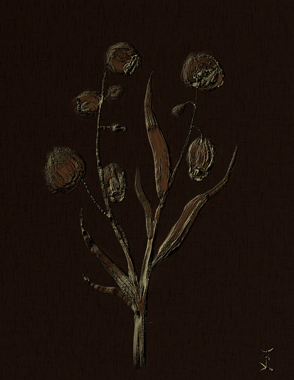 Flowers.jpg