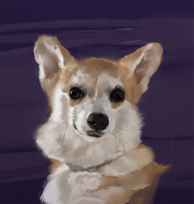 corg_paint_03.jpg